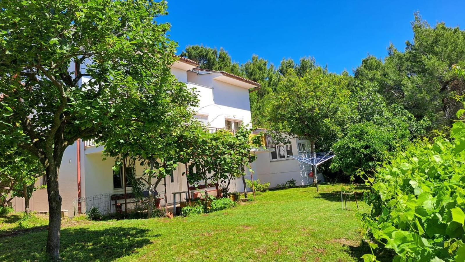 Appartements Lena. Premantura Szoba fotó